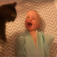 ¿Cómo tendría que ser tu día perfecto?