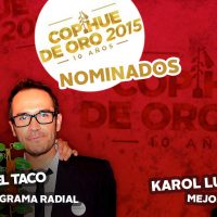 ¡A votar! Queda poco para el Copihue de Oro