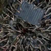 Shock entre los fanáticos: ¿Estará vivo Glenn de The Walking Dead?