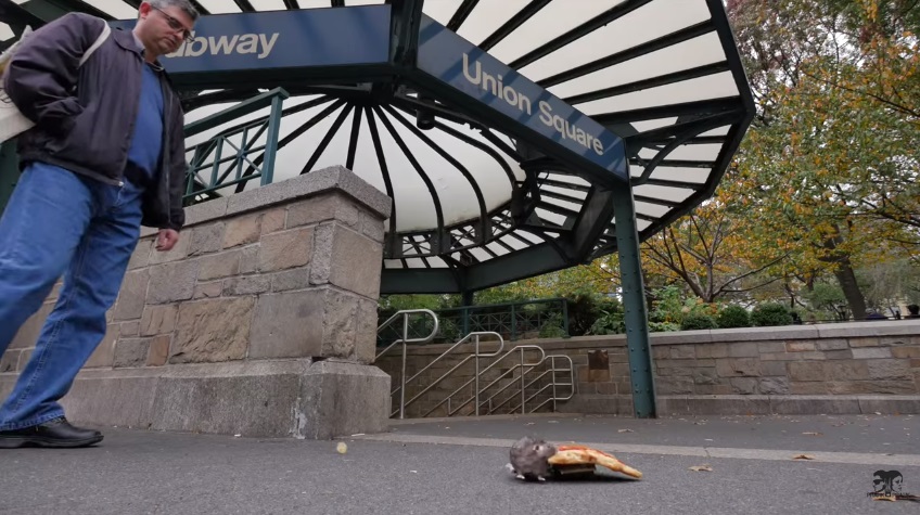 Guacala!!! Mira la cámara indiscreta de una rata y un trozo de pizza en NYC