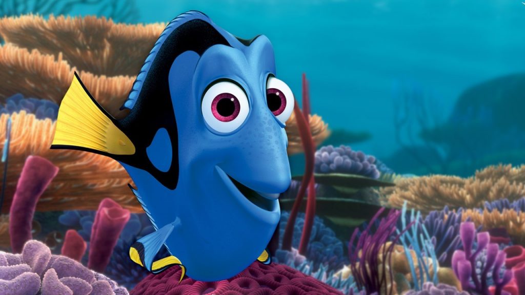 Estos son los nuevos amigos de Dory!!!