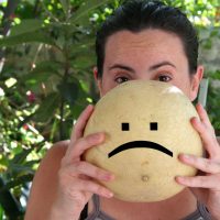 Estamos polémicos: ¿Melón tuna o melón calameño?