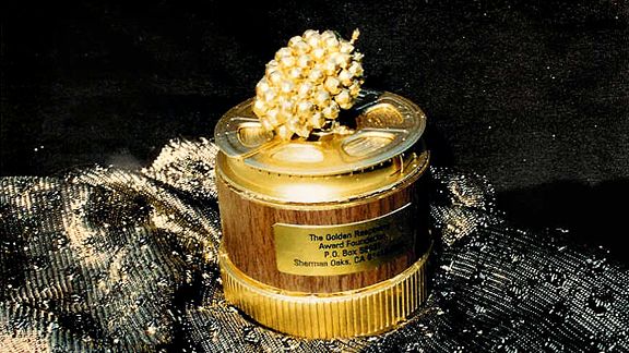 Premios Frambuesa: Lo peor que nos dejó el 2015