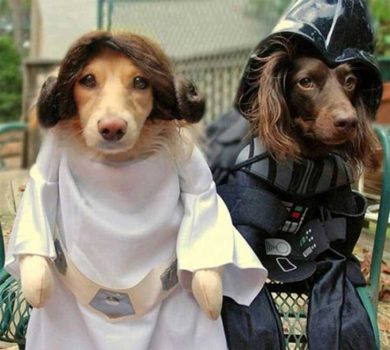 star-wars-dog-costume