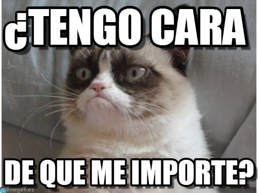 meme grumpy cat