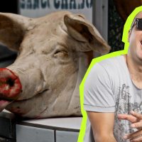 En el lunes ignorante: "Yo no soy na cabeza de chancho"