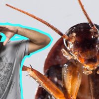 Hoy llamó "El Barata" y el Pelao dejó la patá