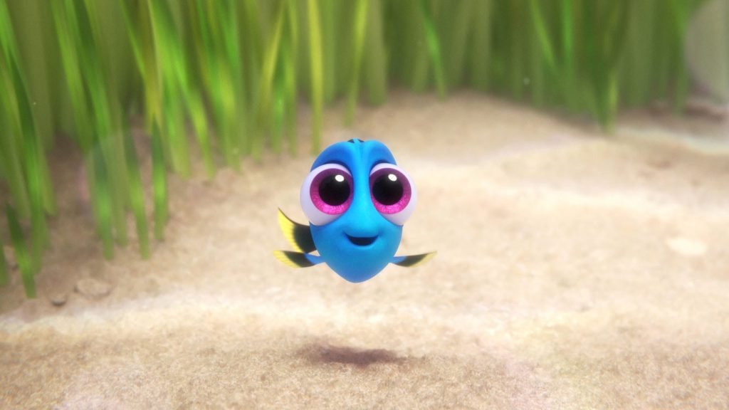 ¿Vieron a Dory bebe?