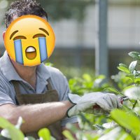 ¡Ud no lo haga! Aquí hay puros irresponsables