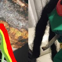 Batalla de los Gallos - Mc Fallo VS Mc Detonao