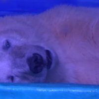 Miércoles y este es mi último wii :(