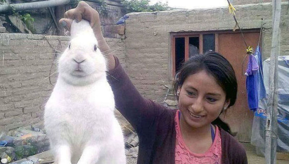 Esta es la historia de Pin Pon: El conejo que se escapaba de su casa para comer marihuana