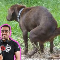 DJ Emilio pisó un lulo y dejó pasado a cacuca el estudio