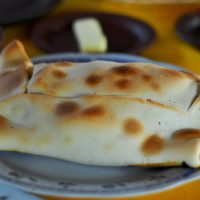 Se comió 22 empanadas y no se arrepintió: la historia del perro Francisco