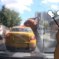 ¿Te imaginas te explotara un camión de caca? Esto fue lo que pasó en Rusia