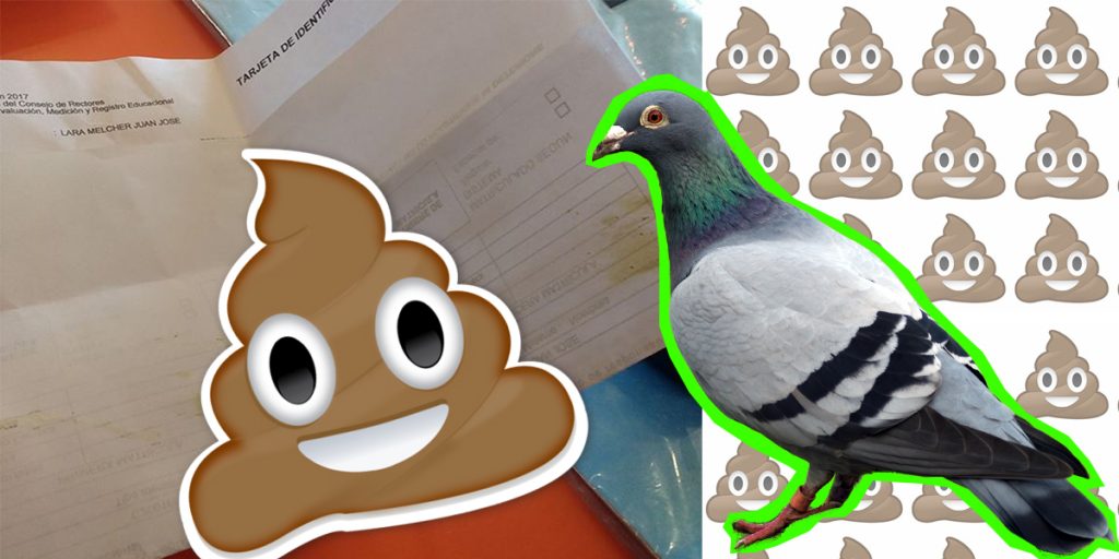 Salió de la PSU y una paloma le cagó su tarjeta de identificación 💩