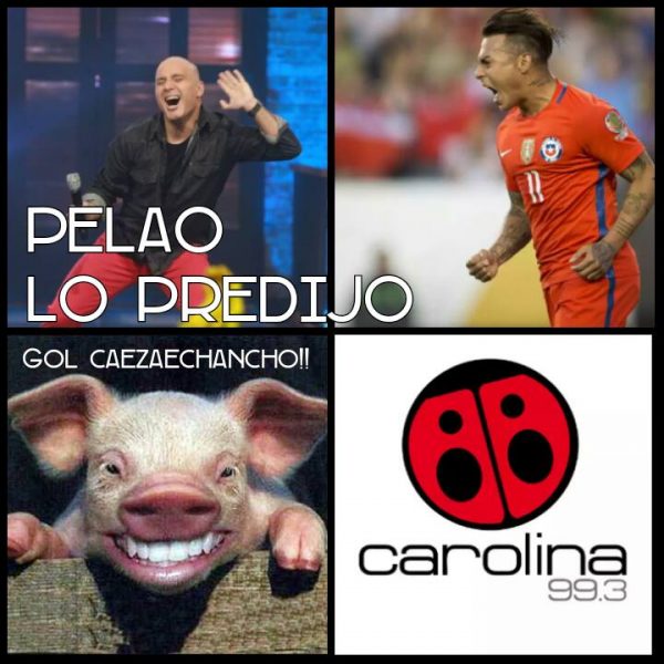pelao-adivino