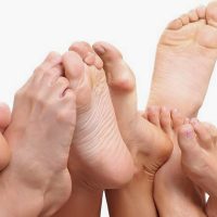 Más raro a dónde: Una historia de patas