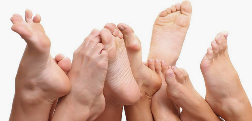 Más raro a dónde: Una historia de patas