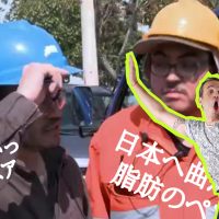 El par de guatones doblados al Japones