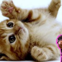 Mimi Leblanc y su gatito Thom