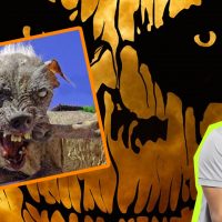 Relatos de terror que dan cualquier susto l