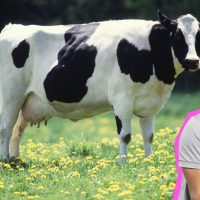 "La vaquita" hace fogoso llamado al "Martes Alternativo"