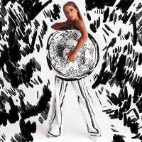 ¡No le comenten recetas! Anitta no sabía que hay dos gaviotas en Viña