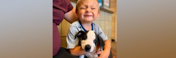 Niño de dos años con labio leporino adoptó perrita con la misma condición congénita