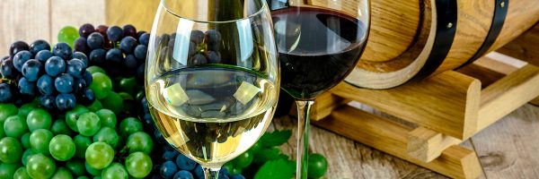 ¡Somos inmortales! Beber vino hace que no mueras joven