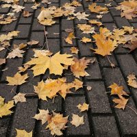 ¡Hagan la clave! Hoy nos ponemos modo otoño