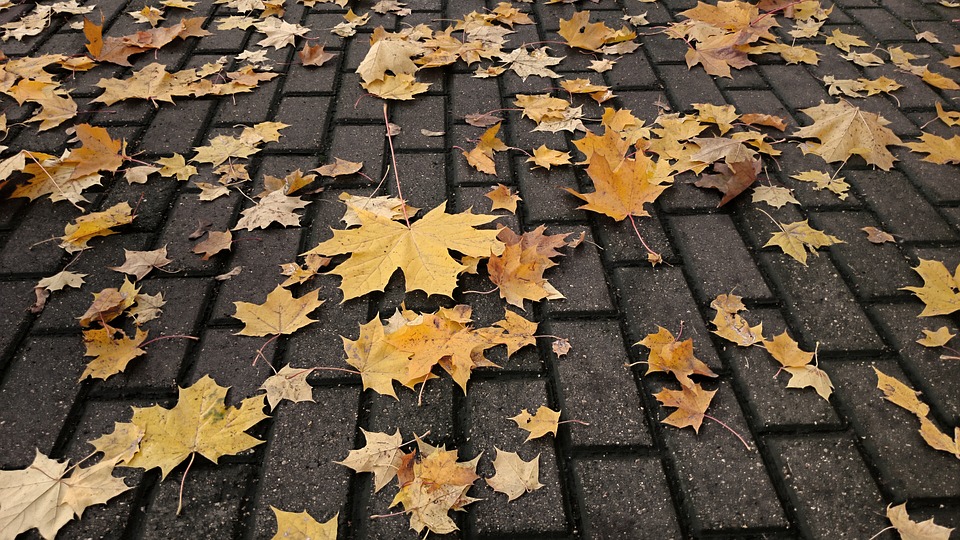 ¡Hagan la clave! Hoy nos ponemos modo otoño