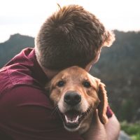 Ciuden sus patitas: Etólogo explica cuidados al momento de pasear perritos