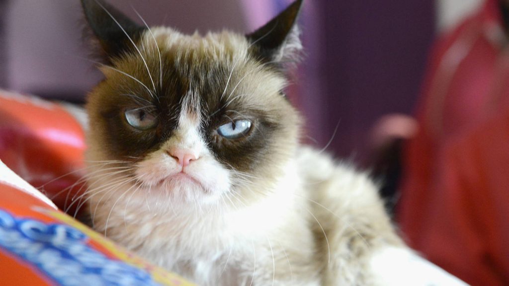 ¡Por pesao te fuiste funao!