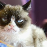 ¡Por pesao te fuiste funao!