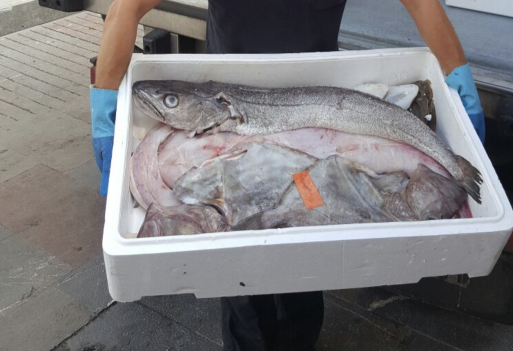 Pregunta para las mujeres: ¿Te gusta el olor a pescado?