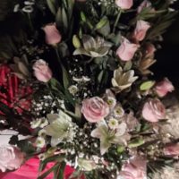 Miércoles Paraguatales: Tenemos la historia del repartidor de flores