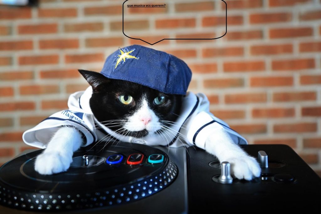 Michi DJ: Vecinos denunciaron fiesta clandestina pero era un gato que puso la música a todo chancho