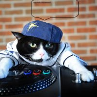Michi DJ: Vecinos denunciaron fiesta clandestina pero era un gato que puso la música a todo chancho