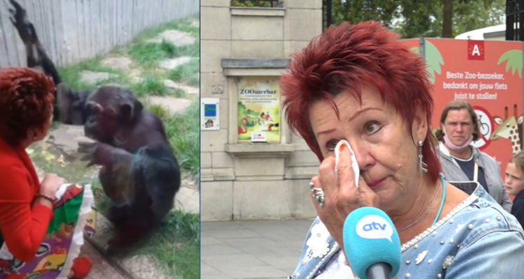 Ni que fuera Jane de Tarzán: A mujer le prohiben ingreso a Zoo por “romance” con mono