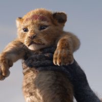 Mundo animal: Un leoncito ve morir a su madre asfixiada y no puede hacer nada