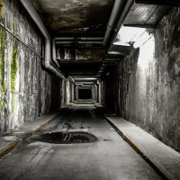 Miércoles Paraguatales: Historias extrañas y confusas, pero igual dan miedo