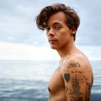 Baños de hielo, el ritual de belleza de Harry Styles: ¿son