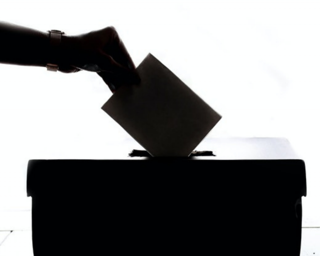 Pero que falta de ignorancia en nuestro Sacando la Vuelta electoral