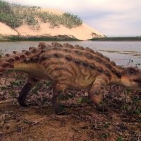 Stegouros elengassen: La nueva especie de dinosaurio descubierta al sur de Chilito
