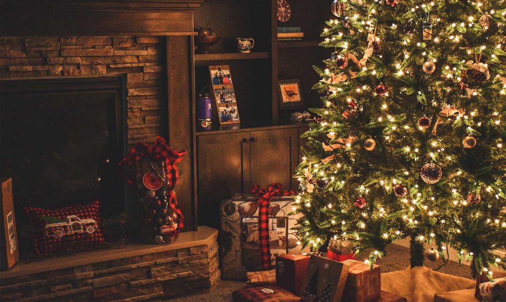 ¿En serio? Ya armaron su arbolito de navidad?