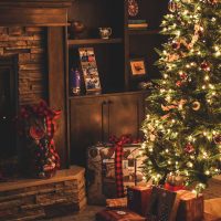 ¿En serio? Ya armaron su arbolito de navidad?