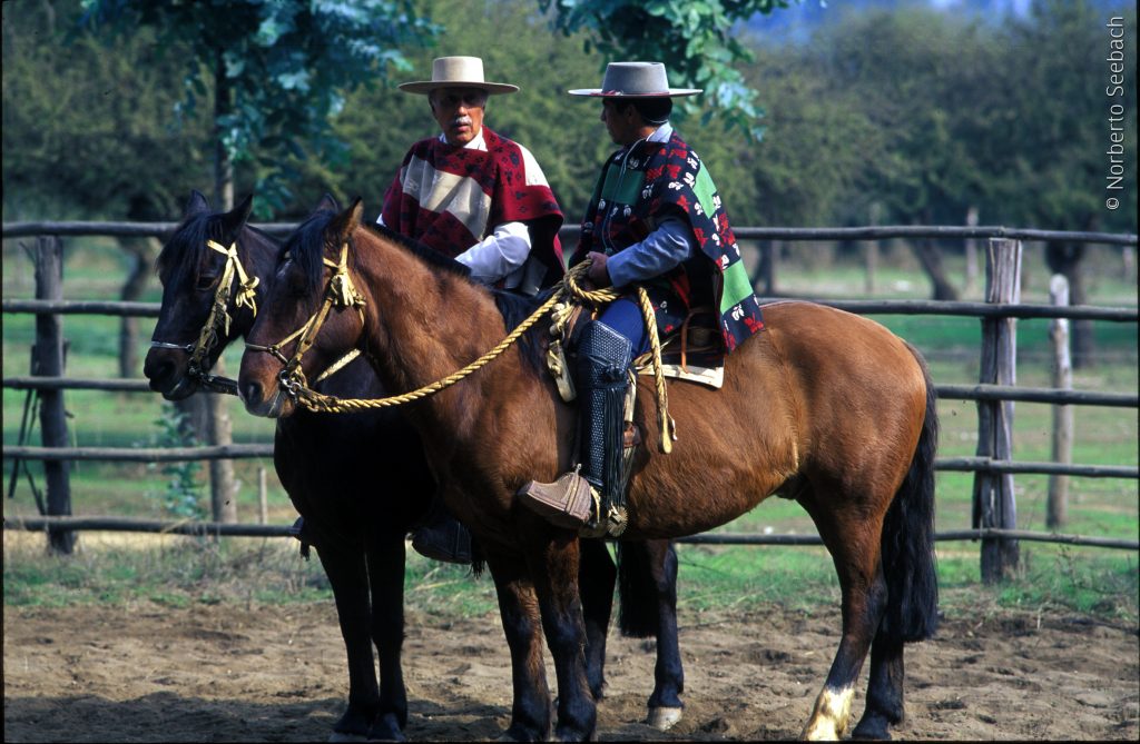 En el martes de parientes tenemos competencia de “uyui”