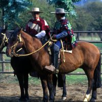 En el martes de parientes tenemos competencia de "uyui"