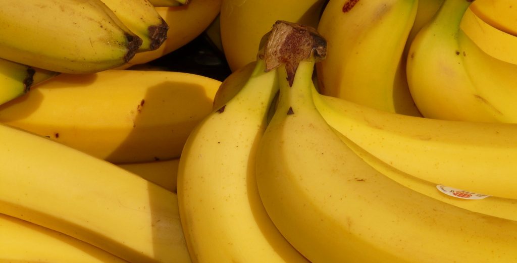 Hoy es el día del plátano: Aprende algunos datos del fruto